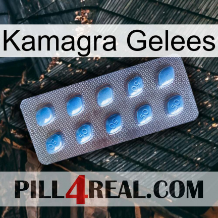 Kamagra Jellies viagra3